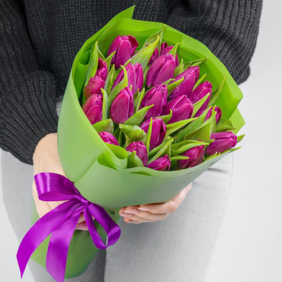 19 Фиолетовых Тюльпанов фото