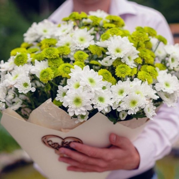 

19 Кустовых Бело-Зеленых Хризантем