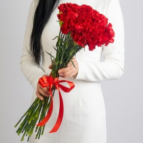 19 Красных Гвоздик фото