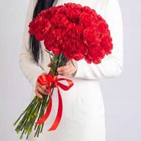 19 Красных Гвоздик фото