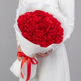 19 Красных Гвоздик в пленке фото