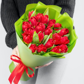 19 Красных Тюльпанов с зеленью фото