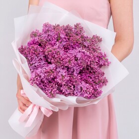 19 Сиреневой Сирени фото