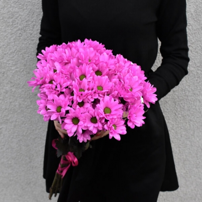 19 Розовых Хризантем фото
