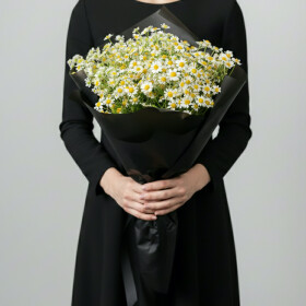 20 Ромашек Кустовых Танацетум (Траур) фото