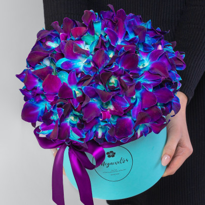 20 Синих Орхидей Дендробиум в коробке фото