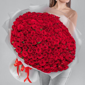 201 Красная Роза (70 см.) фото