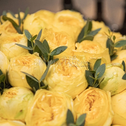 19 Пионовидных Желтых Роз (40 см.) в коробке фото изображение 2