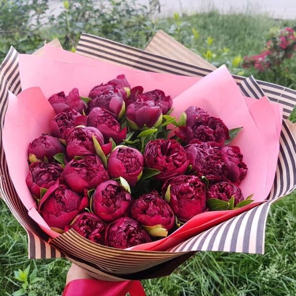 

23 Красных Пиона