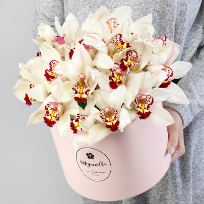 25 Белых Орхидей в коробке фото