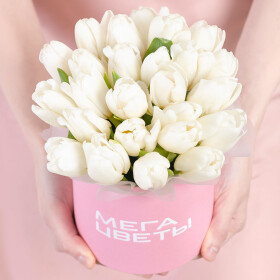 25 Белых Тюльпанов в коробке