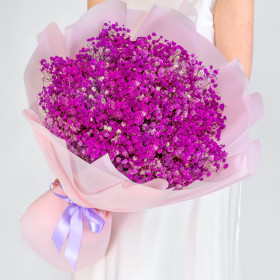 25 Фиолетовых Гипсофил фото