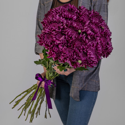 25 Фиолетовых Хризантем Бигуди фото