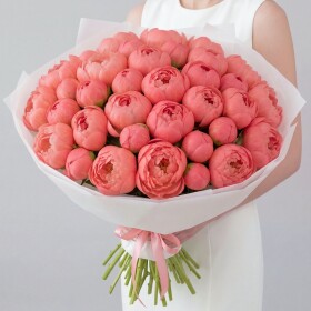 25 Коралловых Пионов фото