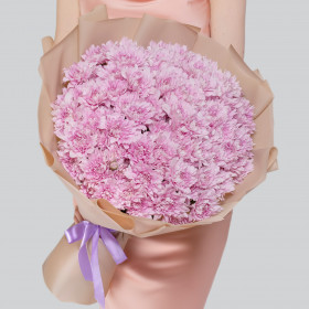 25 Розовых Кустовых Хризантем фото