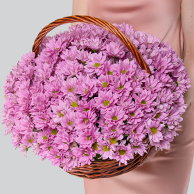 25 Розовых Кустовых Хризантем Ромашка в корзине фото