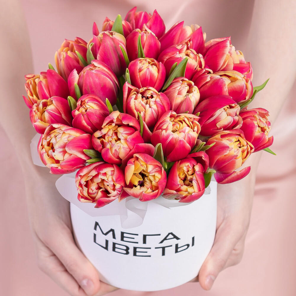 25 Пионовидных Тюльпанов Колумбус в коробке фото