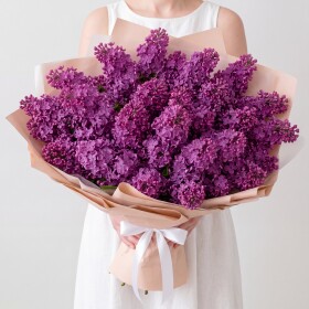 25 Сиреневой Сирени фото