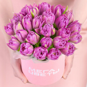 25 Тюльпанов Дабл Прайс в коробке фото