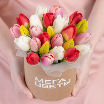 25 Тюльпанов Микс в коробке фото