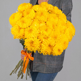 25 Желтых Хризантем Бигуди фото