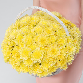 25 Желтых Кустовых Хризантем в корзине фото