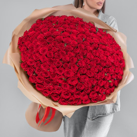 251 Красная Роза (70 см.) фото