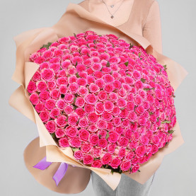 251 Розовая Роза (70 см.) фото