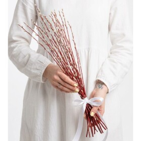 Букет из живых цветов "3 Пучка Вербы" фото