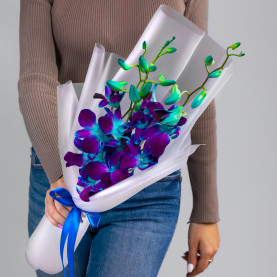3 Синие Орхидеи Дендробиум фото