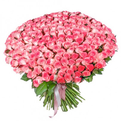 301 Бело-Розовая Роза (60 см.) фото