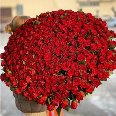 301 Красная Роза (60 см.) фото