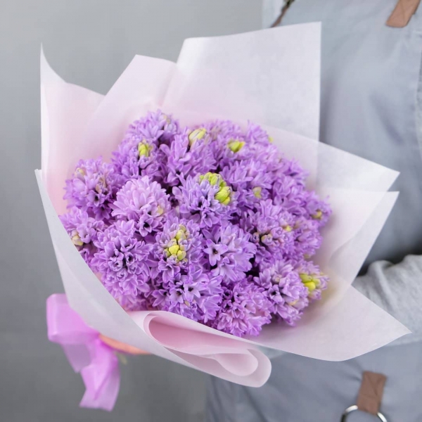 

31 Фиолетовый Гиацинт