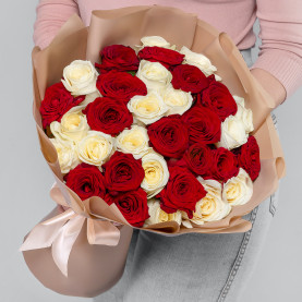 31 Красно-Белая Роза (40 см.) фото