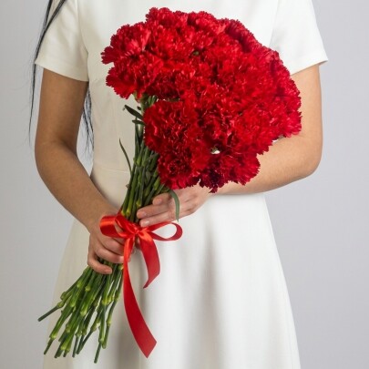 35 Красных Гвоздик фото