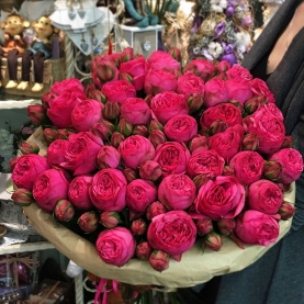35 Кустовых Пионовидных Малиновых Роз (50 см.) фото