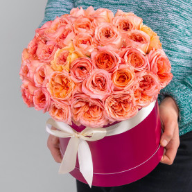 35 Пионовидных Розовых Роз (40 см.) в коробке фото