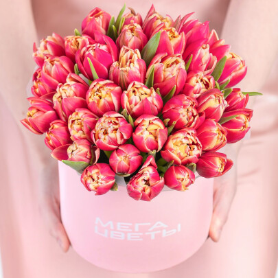 35 Пионовидных Тюльпанов Колумбус в коробке фото