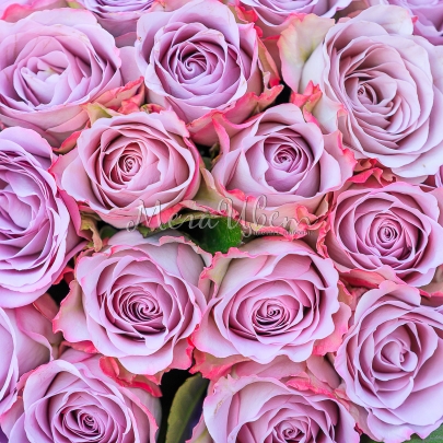 35 Персиковых Роз (40 см.) фото изображение 4