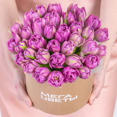 35 Тюльпанов Дабл Прайс в коробке фото