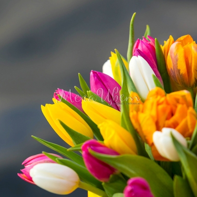 35 Сиреневых Пионовидных Тюльпанов в коробке фото изображение 4