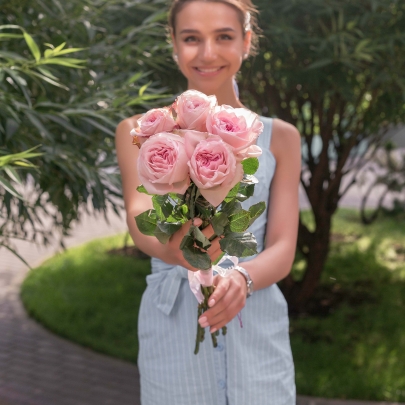 5 Пионовидных Роз Пинк Охара (50 см.) фото