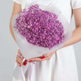 5 Фиолетовых Гипсофил фото