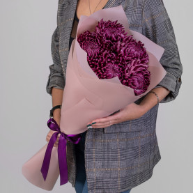 5 Фиолетовых Хризантем Бигуди фото