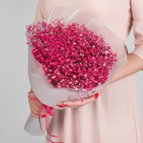 5 Малиновых Гипсофил фото