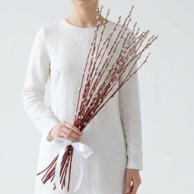 Букет из живых цветов "5 Пучков Вербы" фото