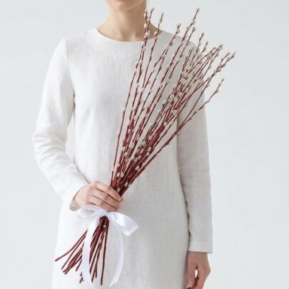 Букет из живых цветов "5 Пучков Вербы" фото