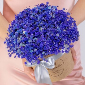 5 Синих Гипсофил в коробке фото
