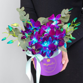 5 Синих Орхидей Дендробиум в коробке фото