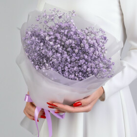 5 Сиреневых Гипсофил фото